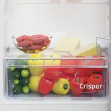 Réfrigérateur 1 porte BEKO - RSSE265K40WN - 6
