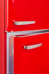 Réfrigérateur 2 portes FRIGELUX - RFDP246RRA++ - 4