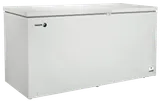 Congélateur Coffre FAGOR - FCC700EE - 2